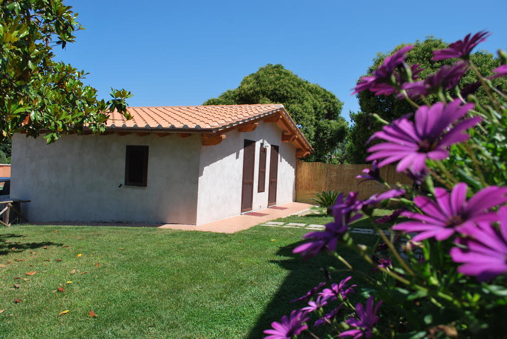 Agriturismo La Valle Di Ceri Черветери Екстериор снимка