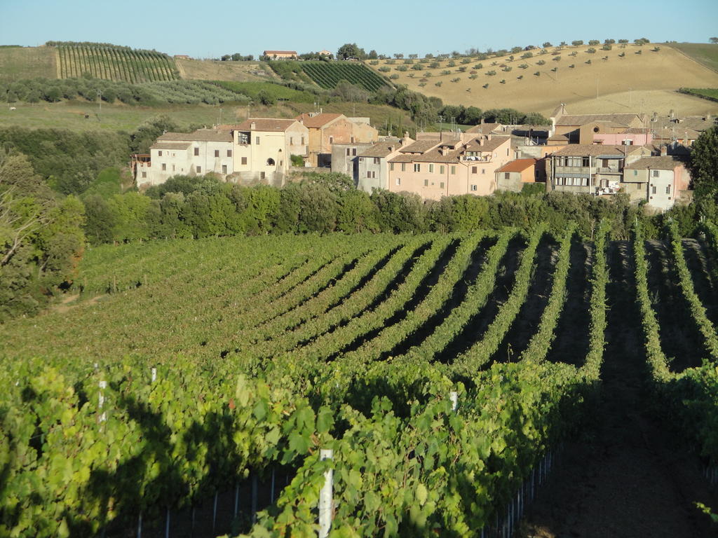 Agriturismo La Valle Di Ceri Черветери Екстериор снимка